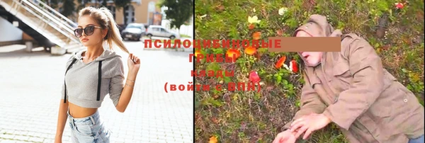 кристаллы Саки