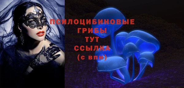 соль ск Струнино