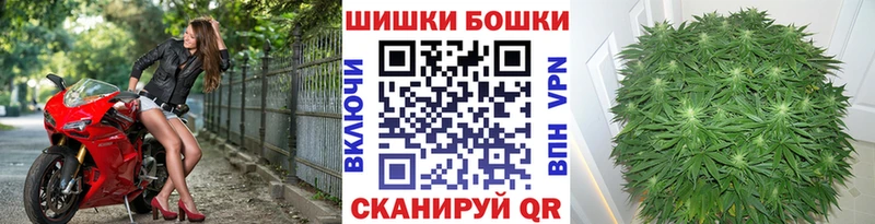 Бошки Шишки план  Тутаев 